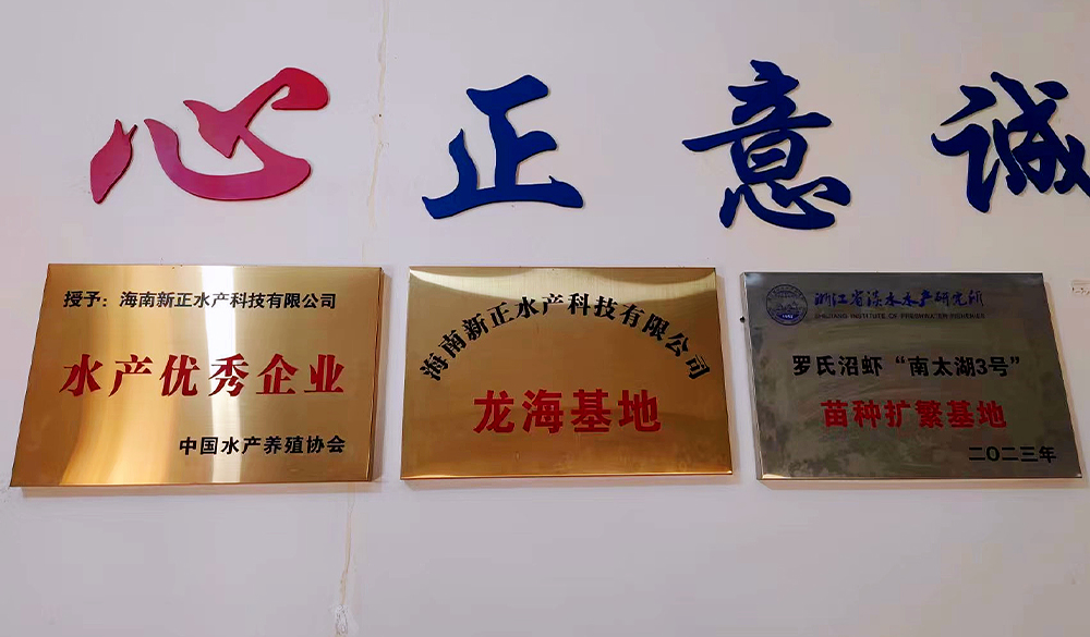 榮譽(yù)資質(zhì)